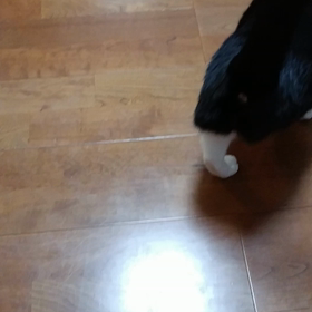 怠慢な姫君の画像