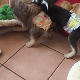 ヤンチャgirlとヤンチャboyの画像