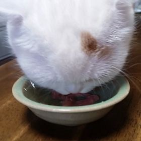 今朝の朝ごはんの画像