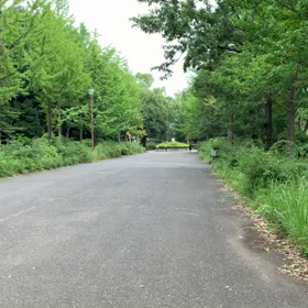 100m記録会 Bグループ⑤の画像