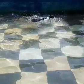 はじめてのプールの画像