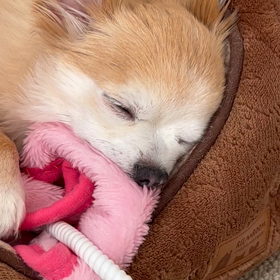 息子さんのこと。の画像