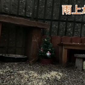 ツリーの残り、タロウとショータ「雨上がりの小庭」つづきの画像