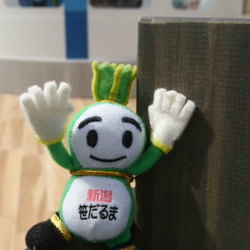 9/10の画像