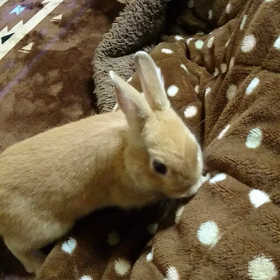 痛かったね(>_<)の画像