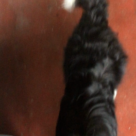 洗濯干しとボール投げの画像