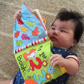 カサカサ絵本の画像