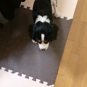 決して寡黙なわけではなくの画像