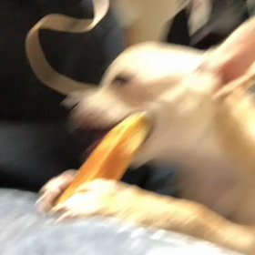 今日のむーぎー　1月3日　平常運転の画像