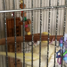 霧吹き浴びの画像