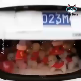 Merry Xmas♡の画像