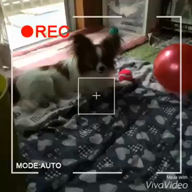 こんばんはの画像