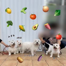 野菜マルシェの画像