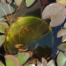 ５月も残り３日かぁの画像