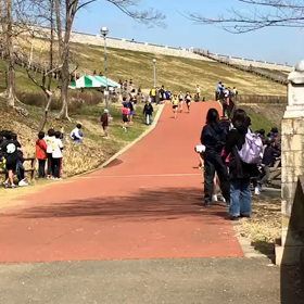 多摩湖駅伝中学の部⑥の画像