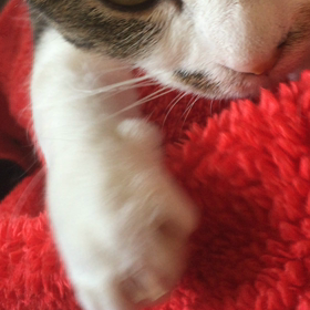 悶絶必至！今朝のマヨラちゃん❤️の画像