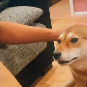 おんなの画像