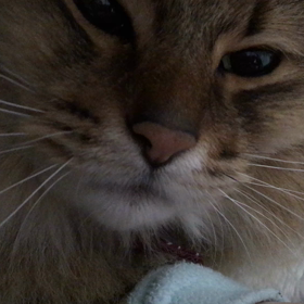 お遍路宿の画像