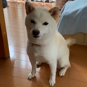 こんにちは☁️の画像