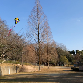 正月っぽい！の画像