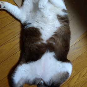 至福の時の画像