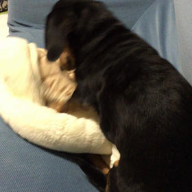 病院帰りの画像