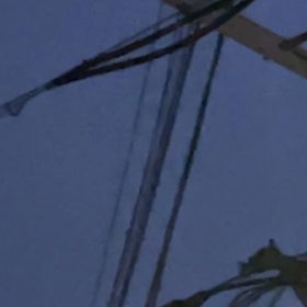 今年初めて聞いたの画像