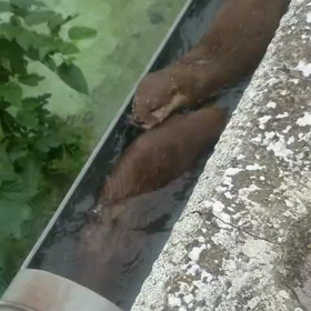 いますごく気になっていること。の画像