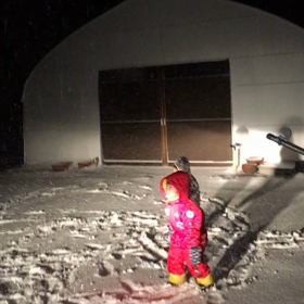 犬かよ！？の画像