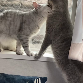 仲良しな2人の画像