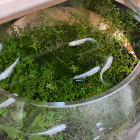 科学館は入館無料がよい◎の画像