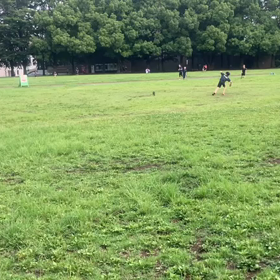 ジャベリック練習②の画像