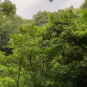 “自然と音遊び” プロジェクト vol.031！の画像