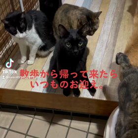 最近の事の画像