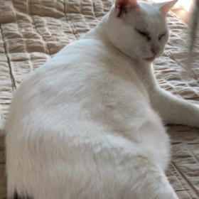 今日も元気でいてくれてありがとう！の画像