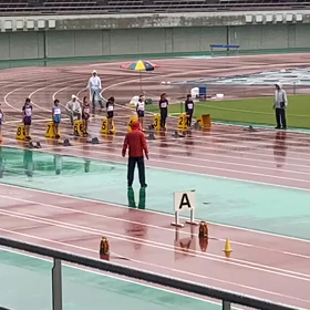 ４年男女80m予選③の画像