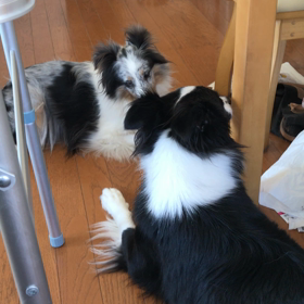 2人で遊べの画像