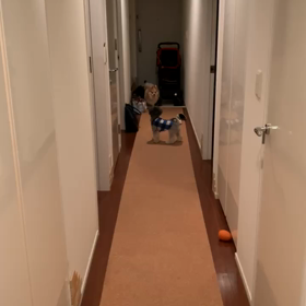 ママがいない！の画像