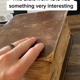 ある聖書　QPLUSPLUSPLUS/22135の画像