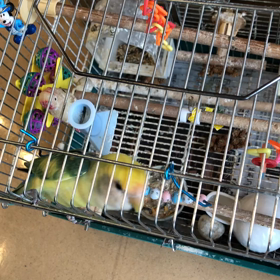 着いた！の画像