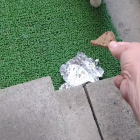 なづニャンにきゅんです❤️の画像