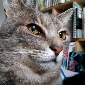 一緒におはよの画像