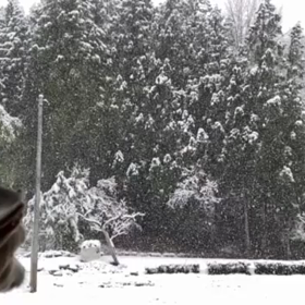 雪景色の画像
