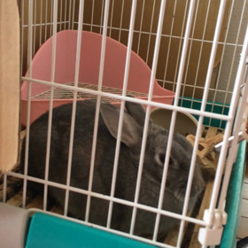 うとうとあるあるの画像