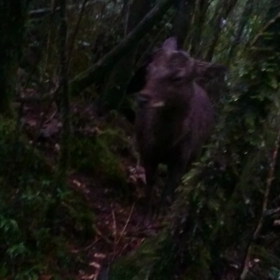 あれから数ヵ月。。。の画像