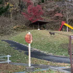 自然の中の和音の画像