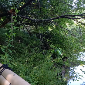 龍安寺への画像