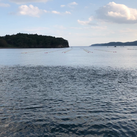 ぎょぎょぎょの画像