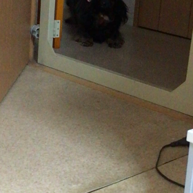 寝起きのそらちんの画像