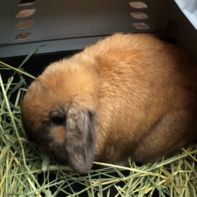 萩ちゃんの画像